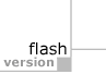 flash version
